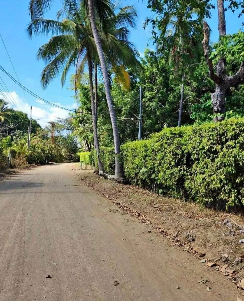 EXCLUSIVE OPPORTUNITY IN PLAYA AZUL: 7,658 m² LOT + 3 HOUSES & POOL INCLUDED! - image 2