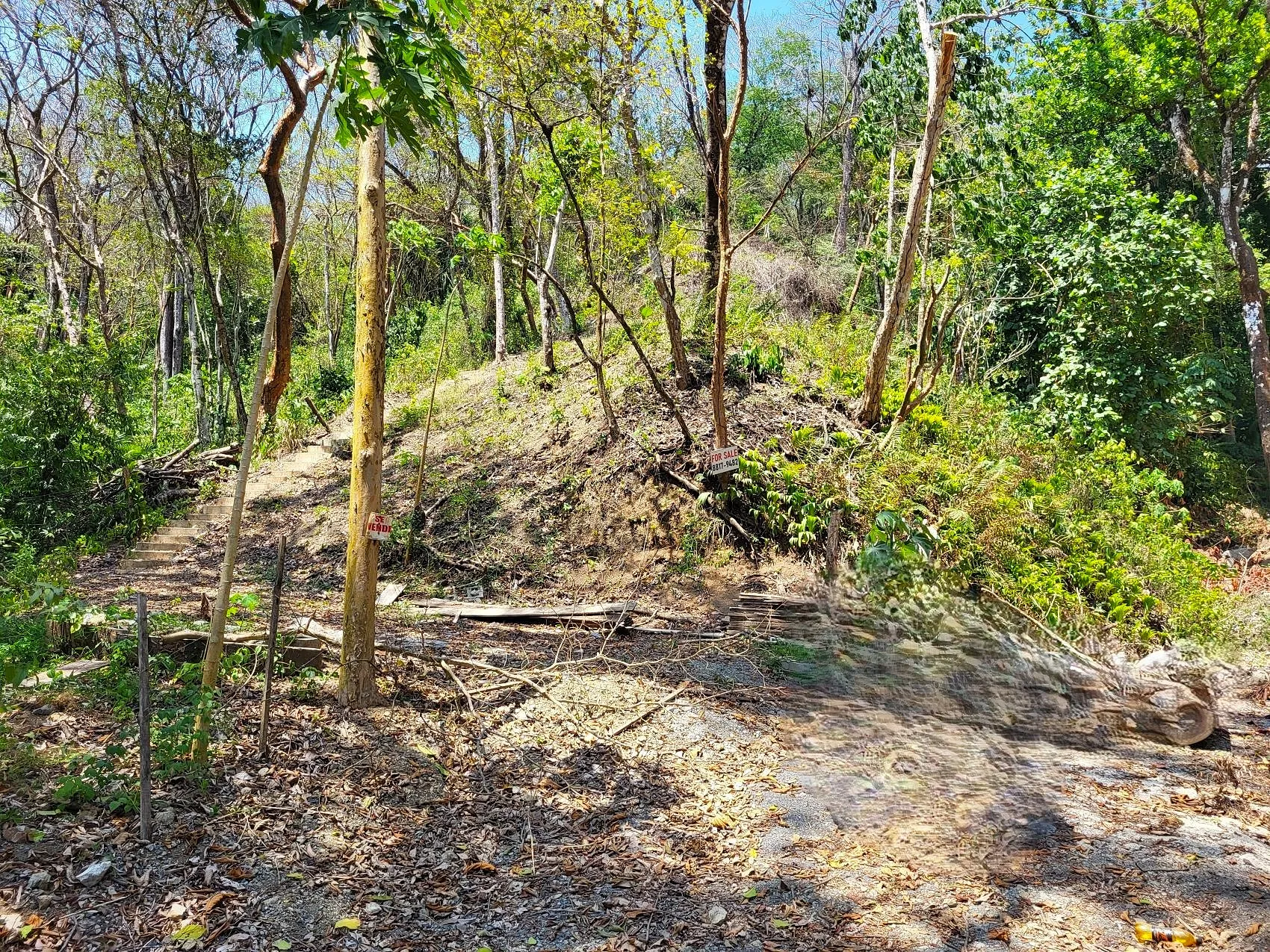 Prime Tropical Dream Lot For Sale - image 3