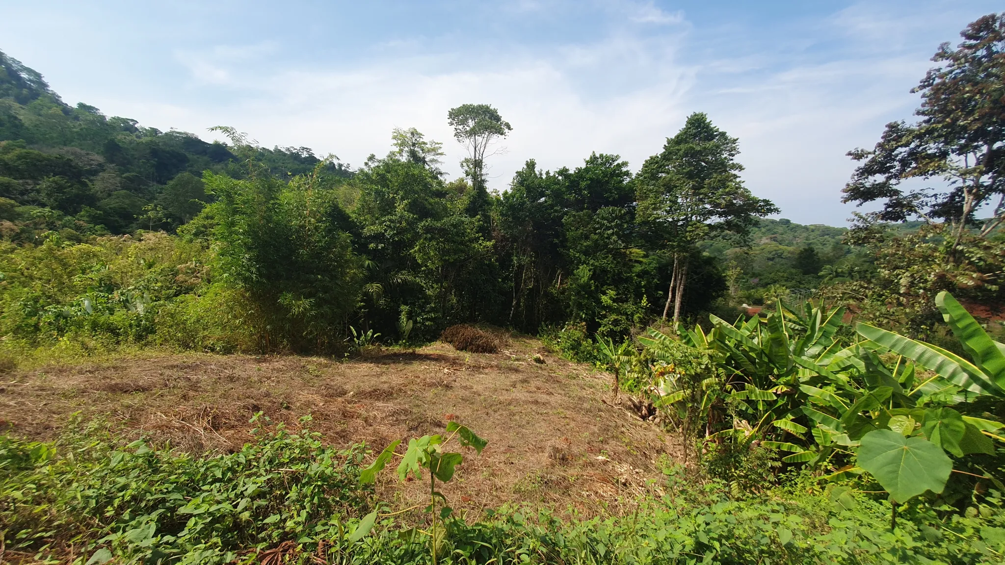 PEACEFUL AND PRIVATE LAND IN PUNTA MALA, OJOCHAL - image 10