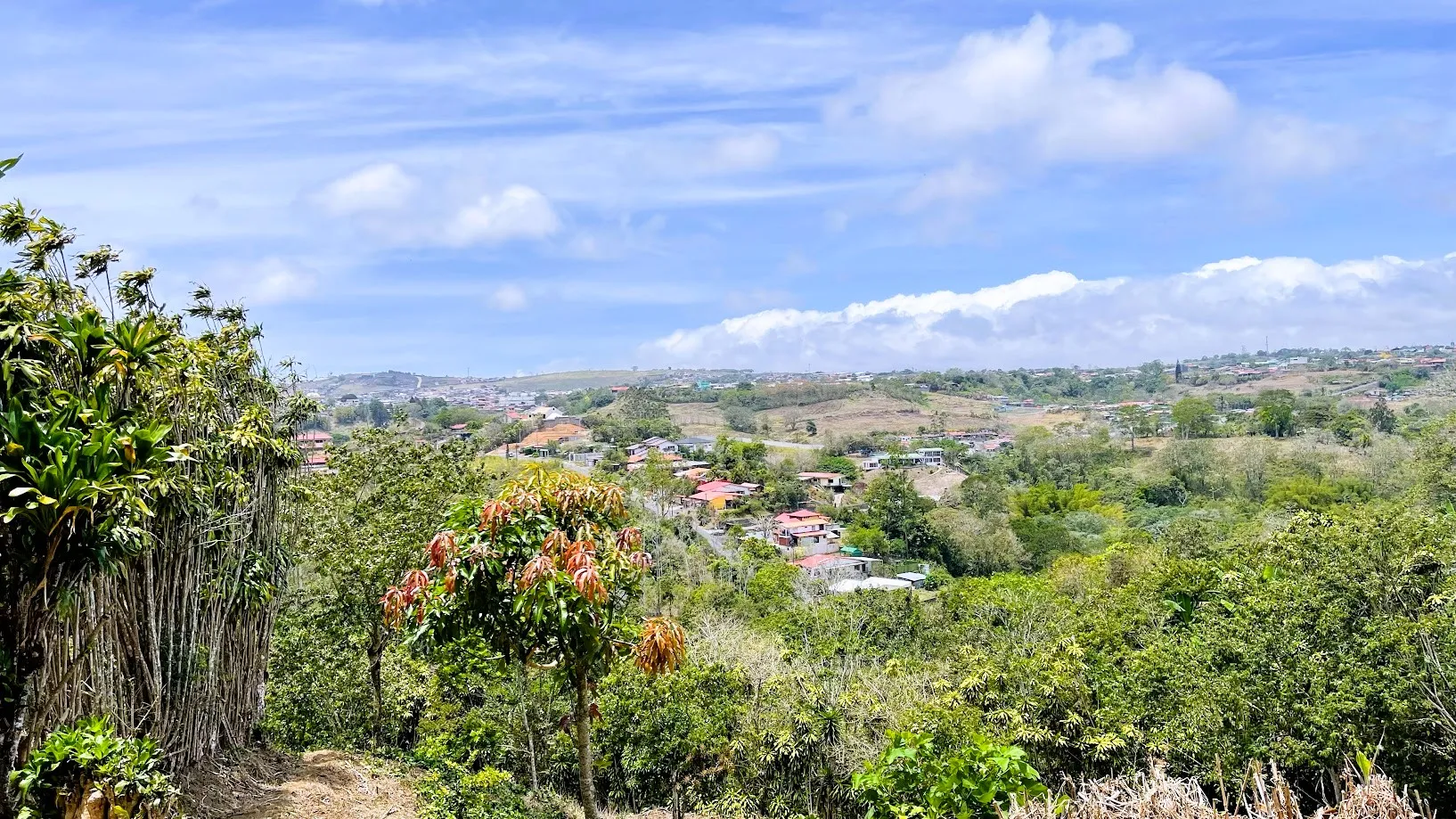LOT FOR SALE - SAN ISIDRO, SAN RAMON - image 15