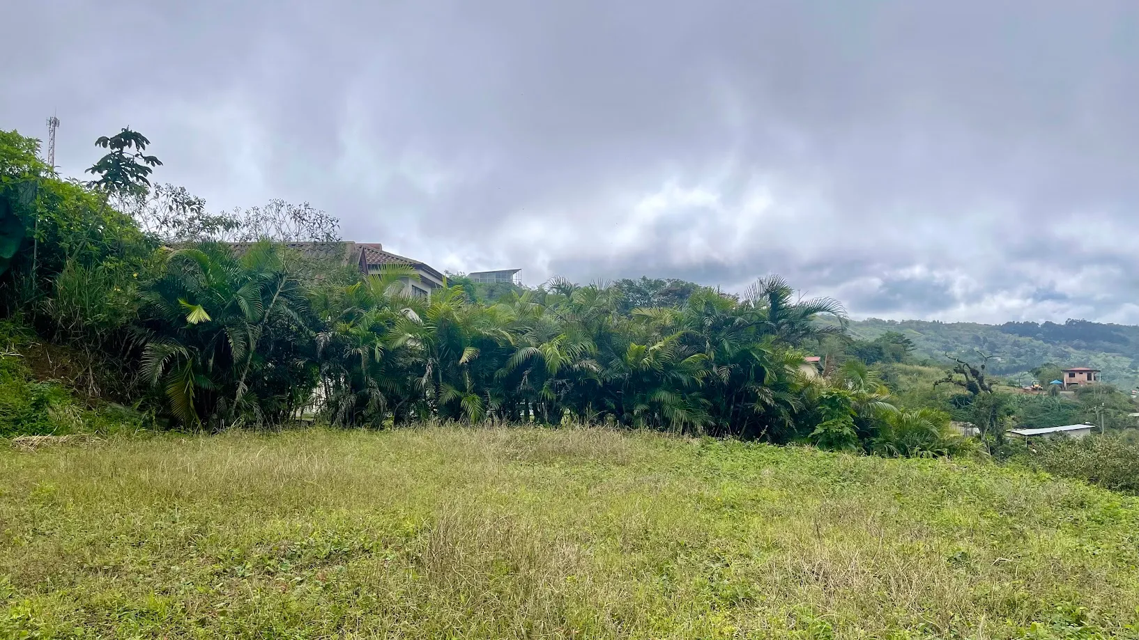  OCEAN VIEW LOT FOR SALE IN SANTIAGO, SAN RAMON  - image 8