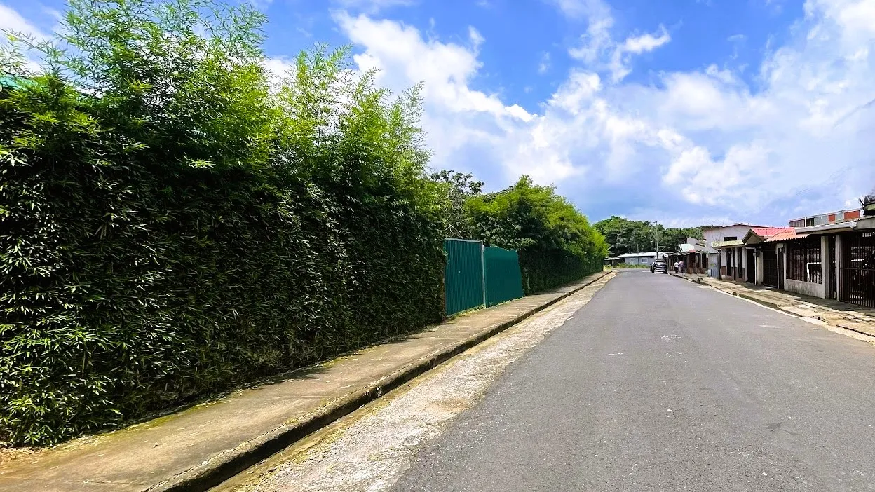 LOT FOR SALE IN SAN JUAN, SAN RAMON - image 3