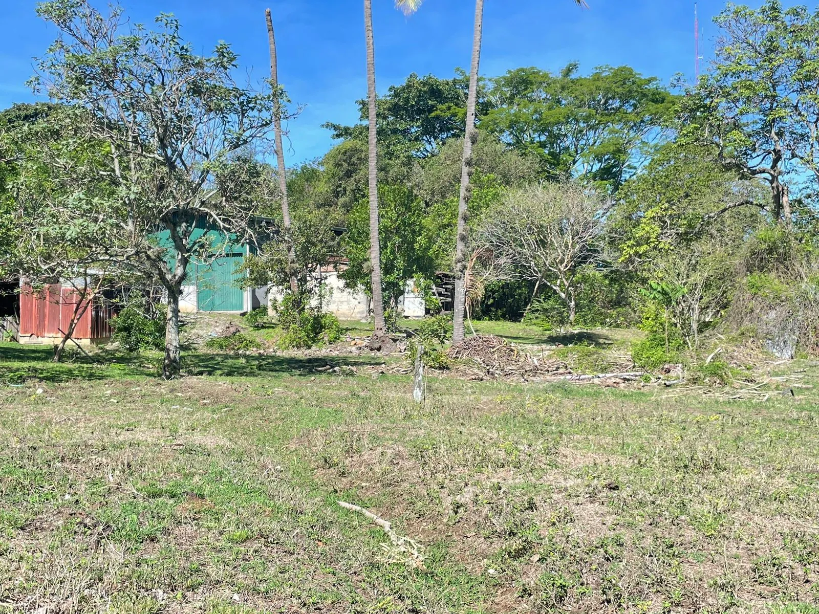 For Sale: Land for Development in Santa Ana - image 4