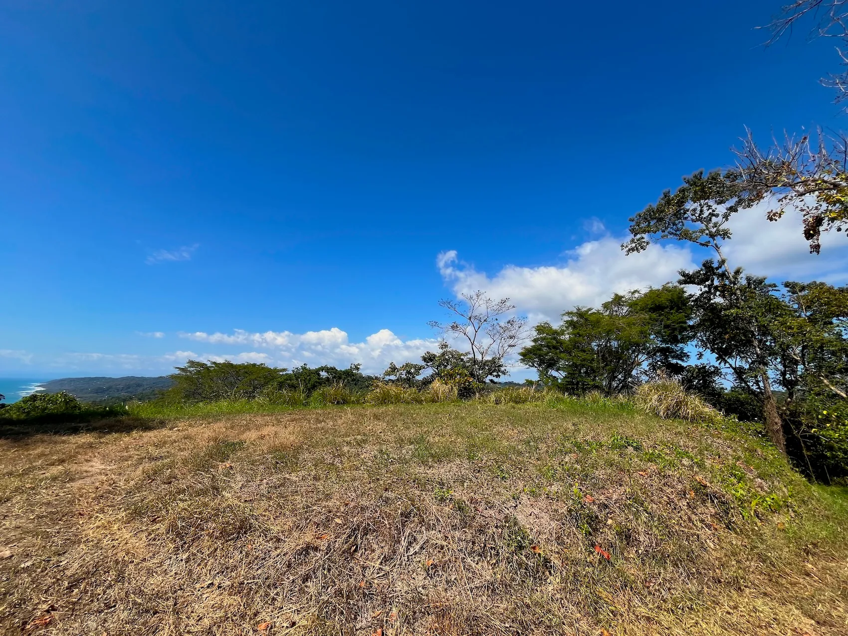 Ocean View Lot 10000m2 in Mal País – 2 Ready-to-Build Platforms - image 4