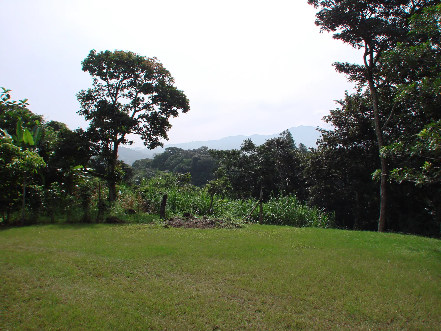 Home construction site property in Cuidad Colón - Lot for sale - image 11