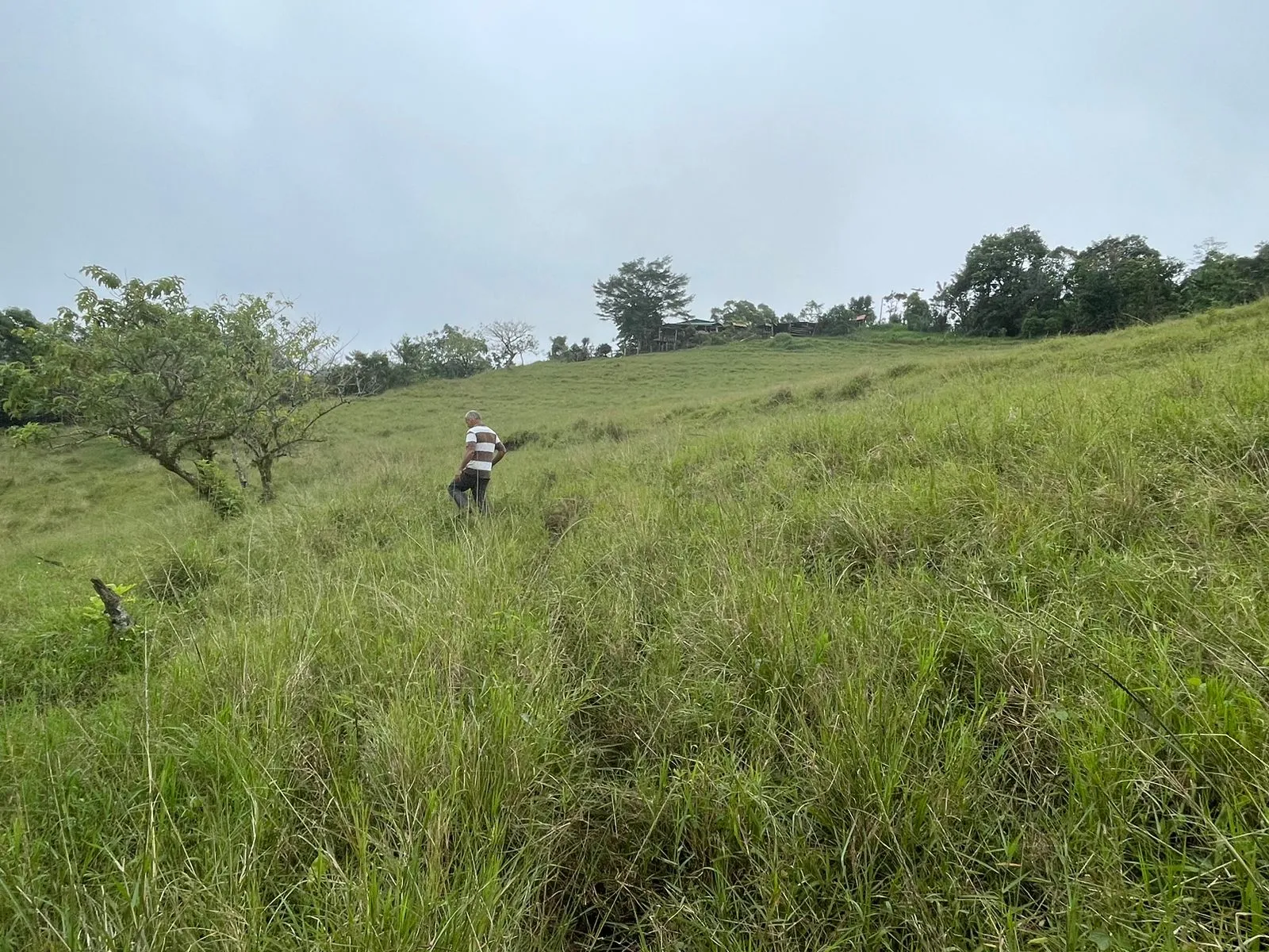 For Sale: Farm for development in Puriscal - image 5