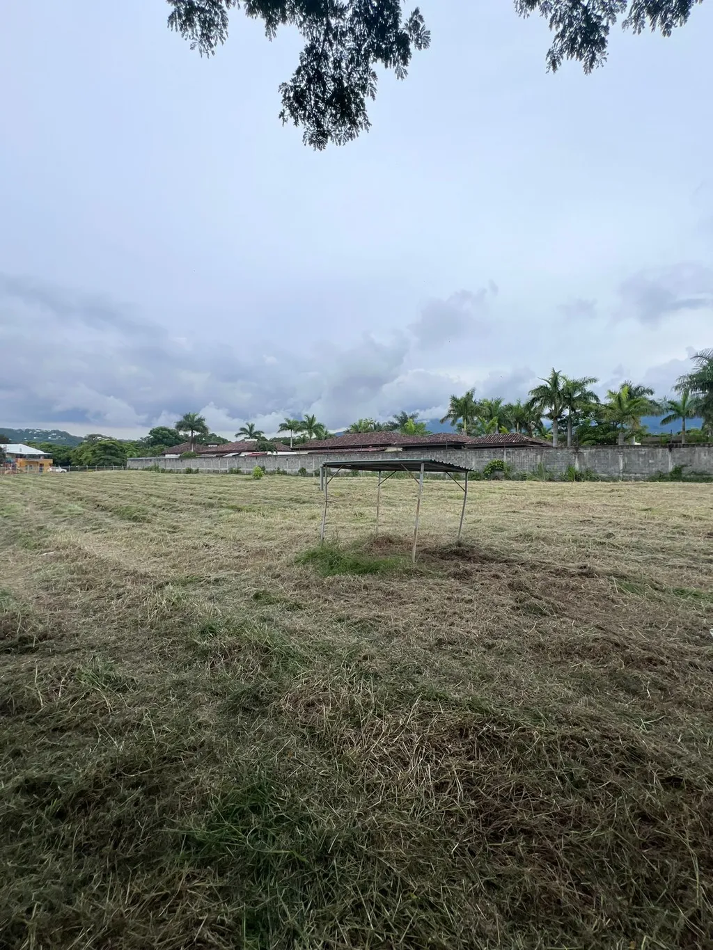  Lot in Lindora, Santa Ana - image 7