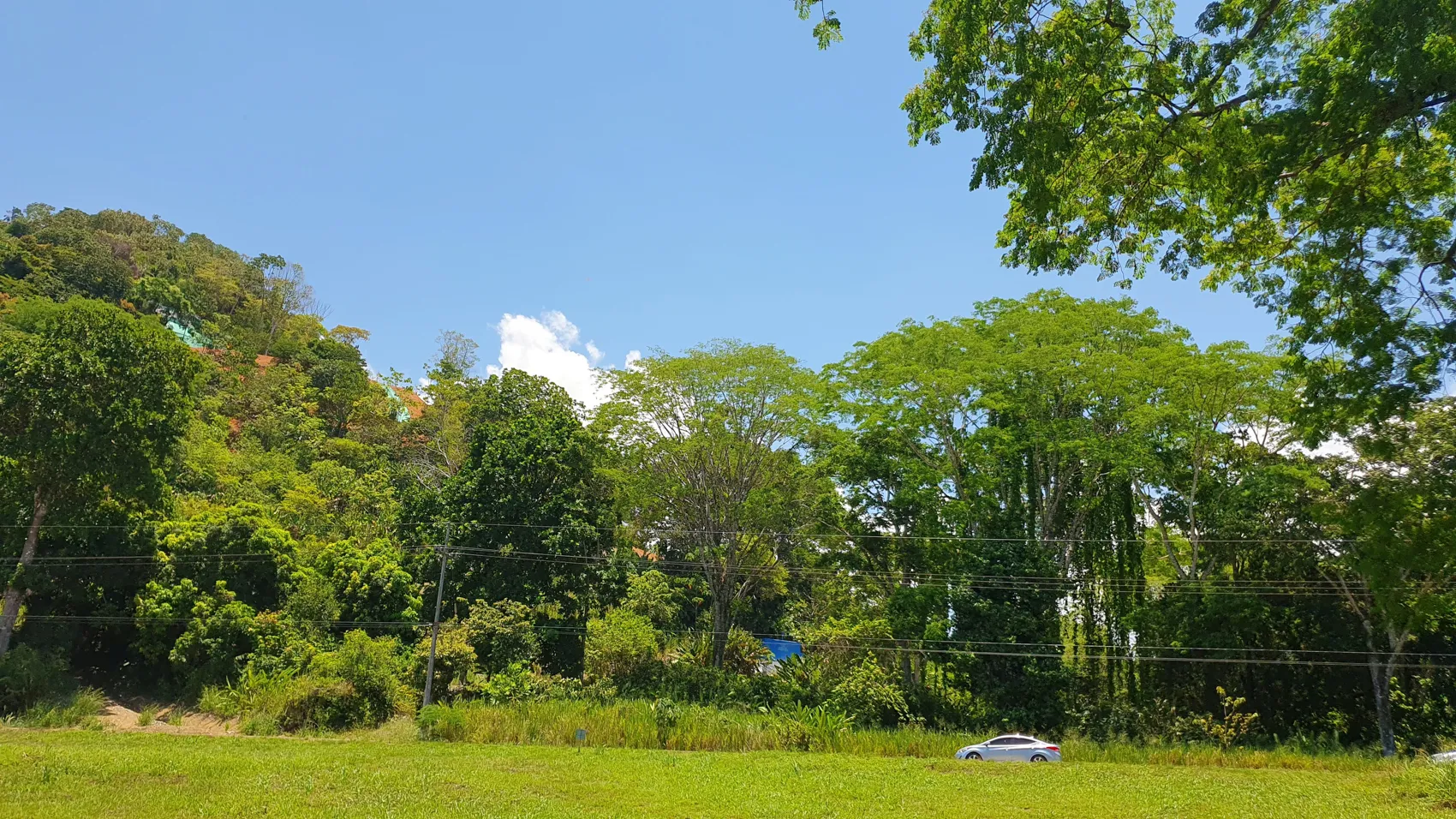 MULTIPURPOSE COMMERCIAL LAND IN OJOCHAL, COSTA RICA - image 6