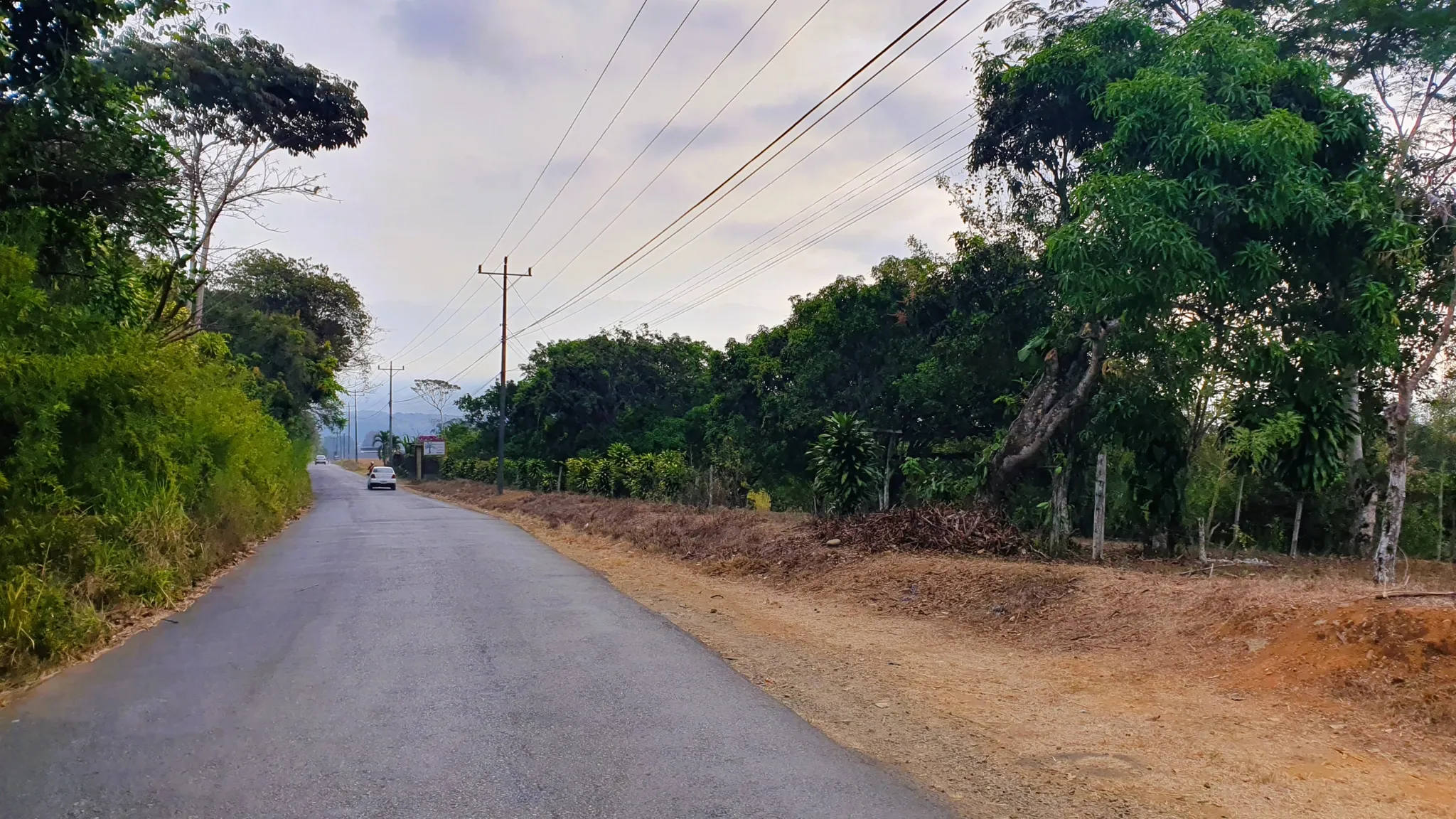 FRUIT TREE PROPERTY IN PEREZ ZELEDON, COSTA RICA - image 9