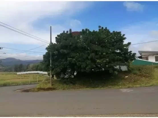 Venta lote Paraiso de Cartago - image 1