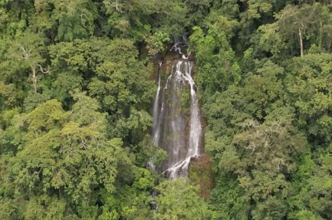 NATURAL PARADISE FARM of 203 ACRES IN BARU, PEREZ ZELEDON - image 7