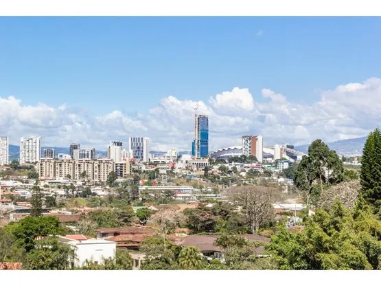 An Oasis in the Heart of the City - image 11