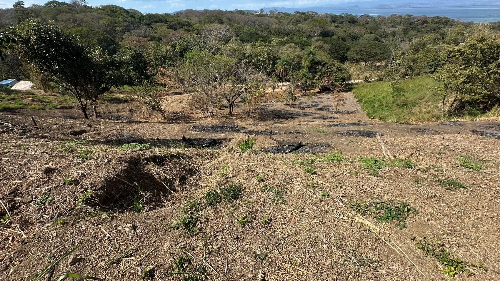 Incredible Ocean view lot in Roma del Mar - image 7