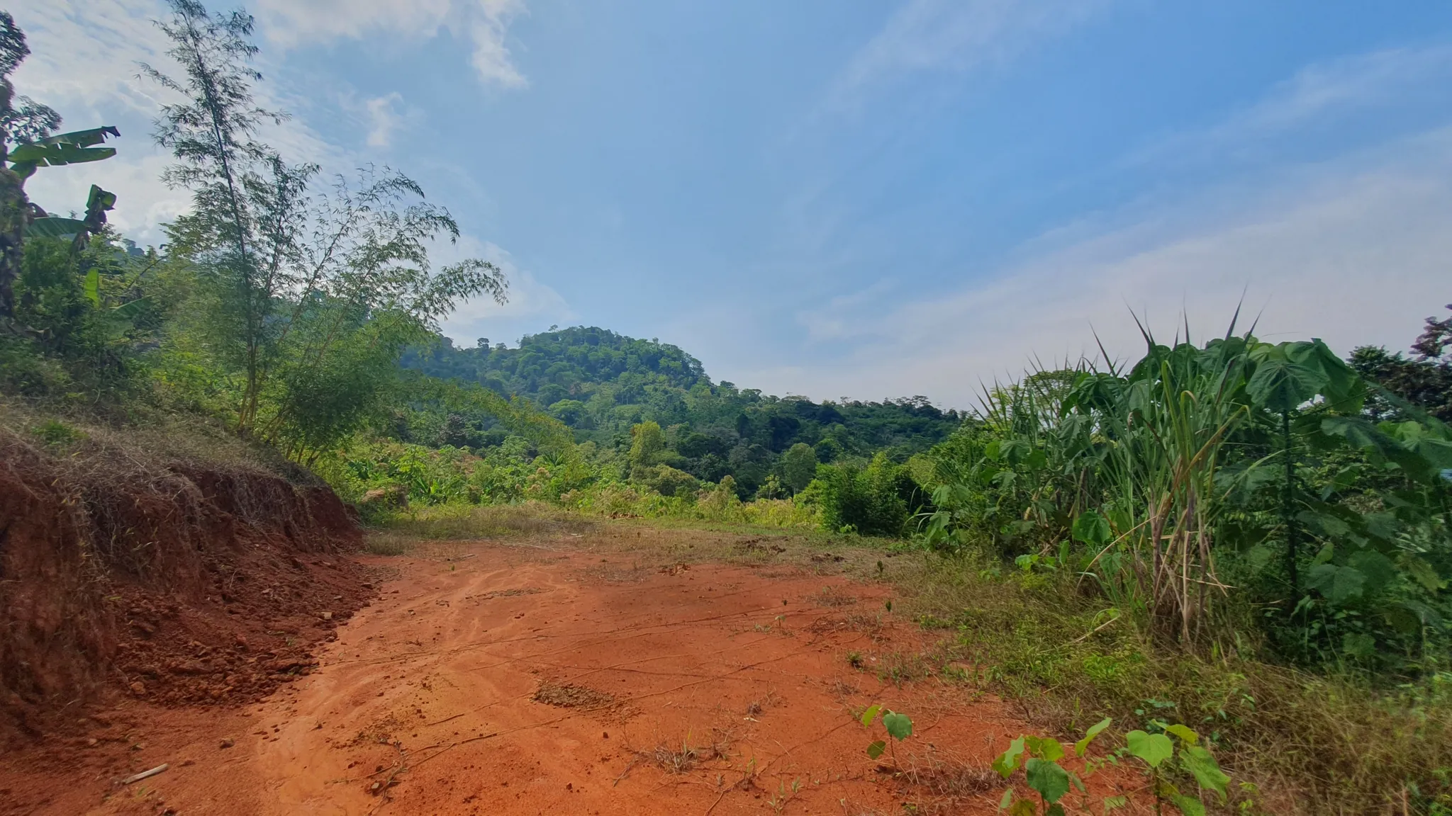 PEACEFUL AND PRIVATE LAND IN PUNTA MALA, OJOCHAL - image 8