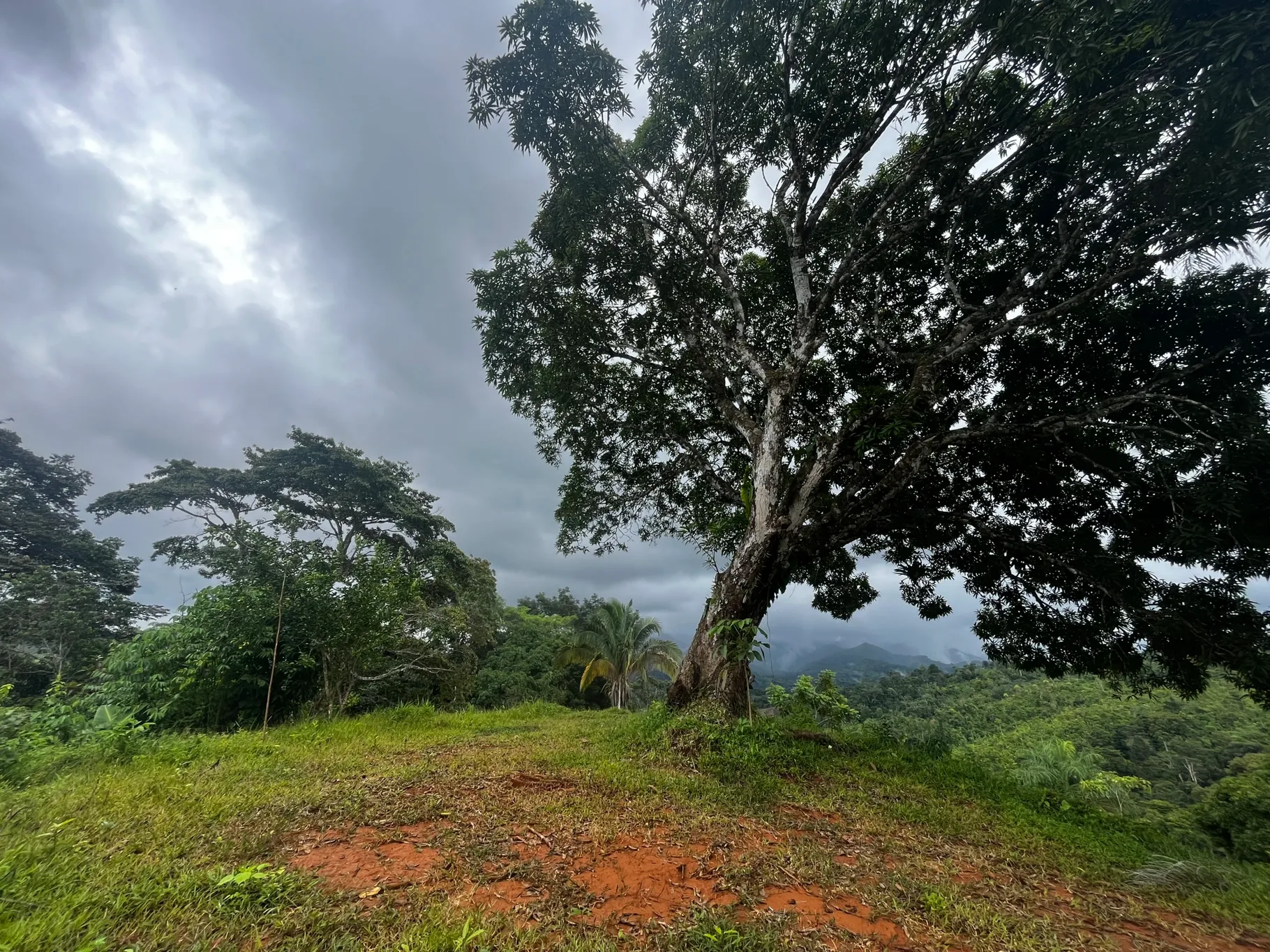  Spectacular Ecological Mountain Farm in Bijagual - image 11