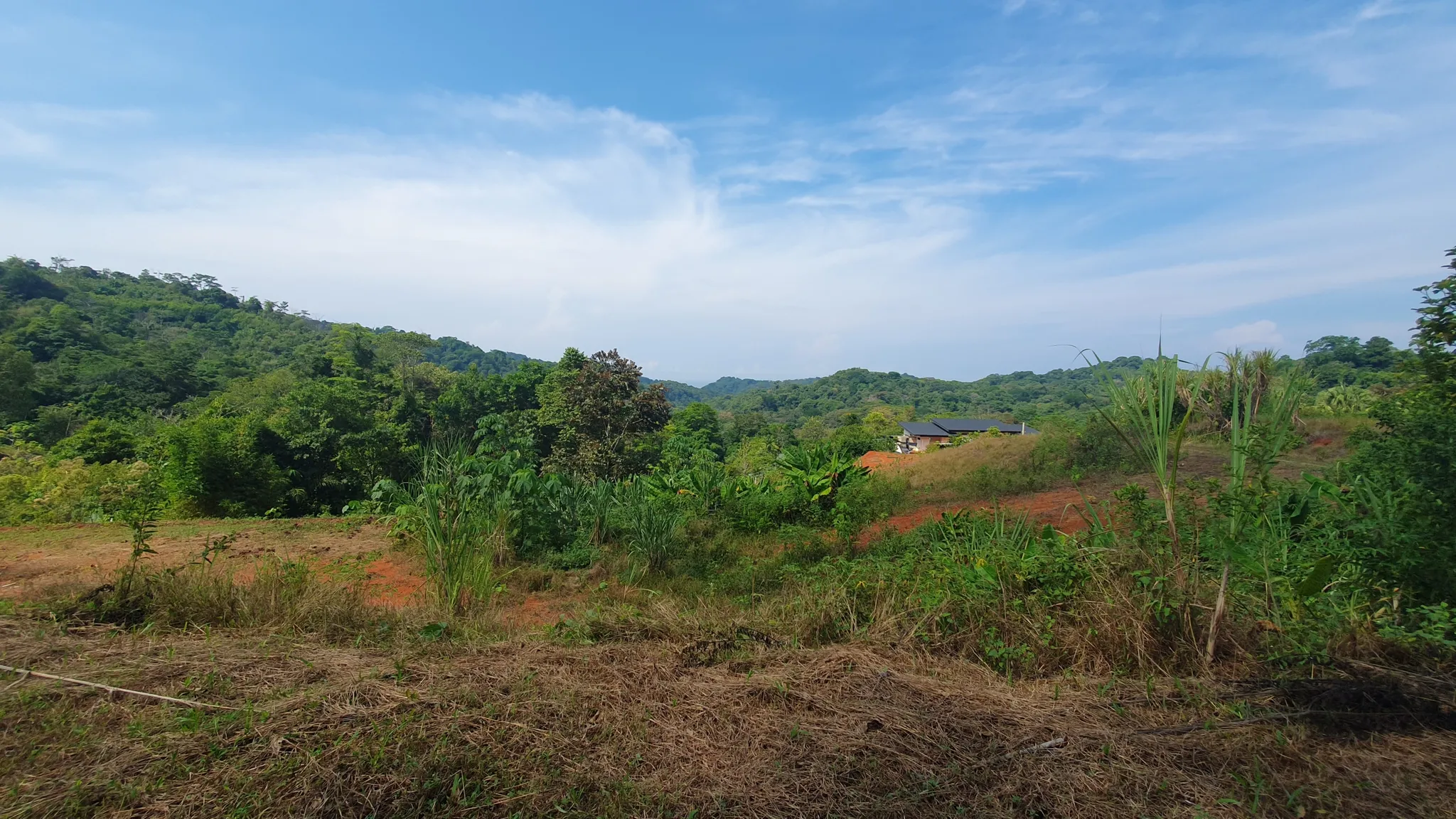 PEACEFUL AND PRIVATE LAND IN PUNTA MALA, OJOCHAL - image 3