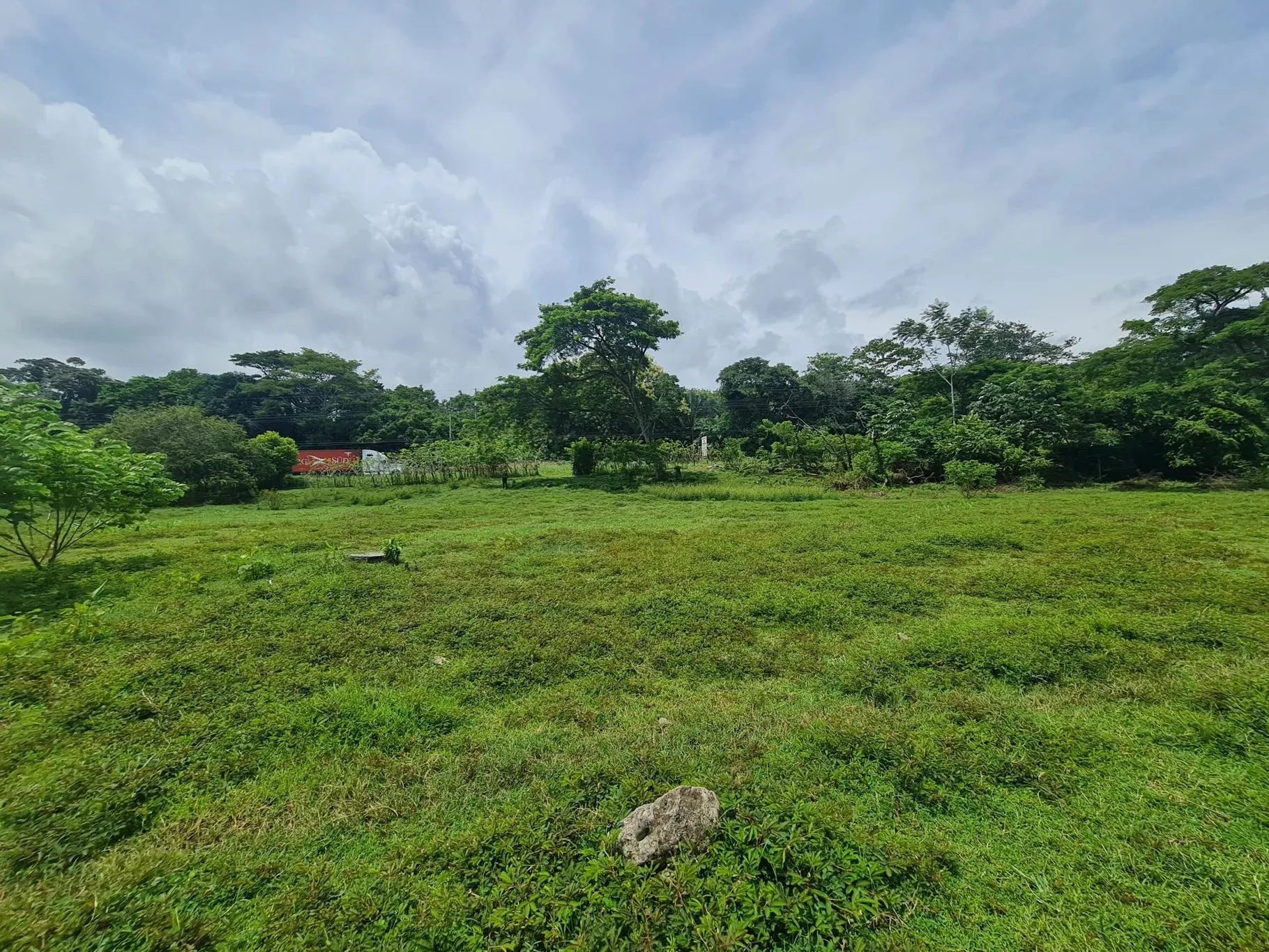 Farm for sale in Bejuco - image 5