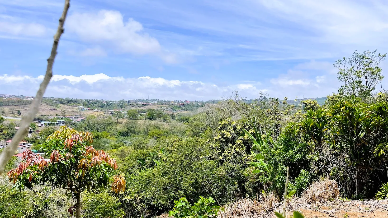 LOT FOR SALE - SAN ISIDRO, SAN RAMON - image 14
