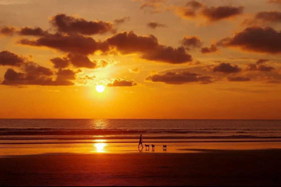 New Beachfront Pre-Sale Proyect, Jaco, Puntarenas - image 7