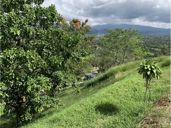 Condominium Lots with Perfect Views - image 8