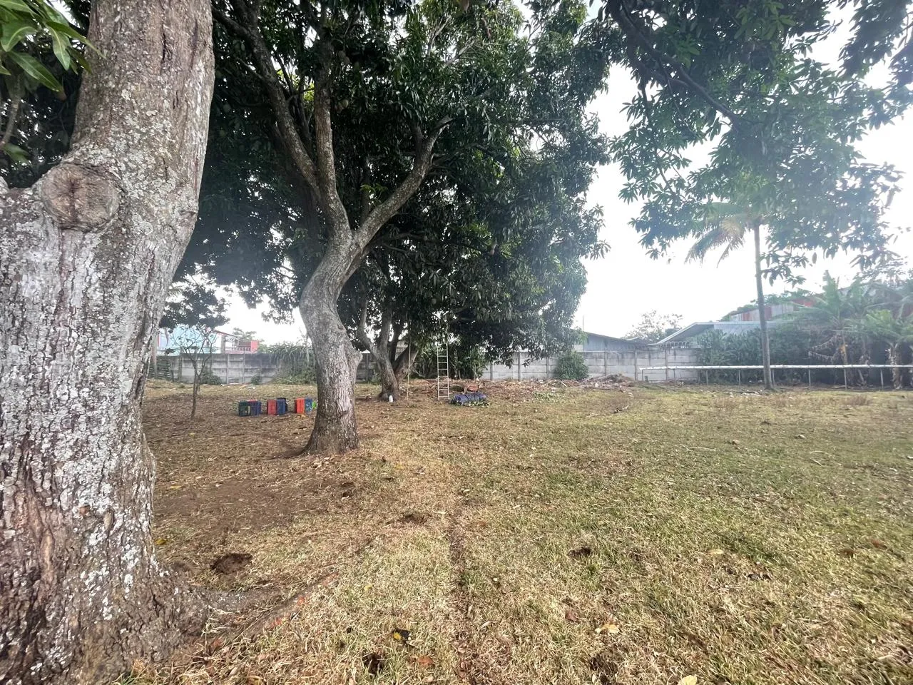 FOR SALE: Development LAND in La Guacima of Alajuela - image 11