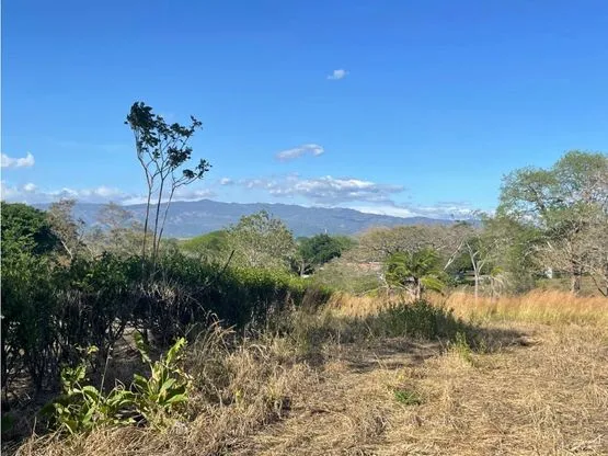 For Sale: Beautiful flat lot in La Ceiba of Orotina - image 5