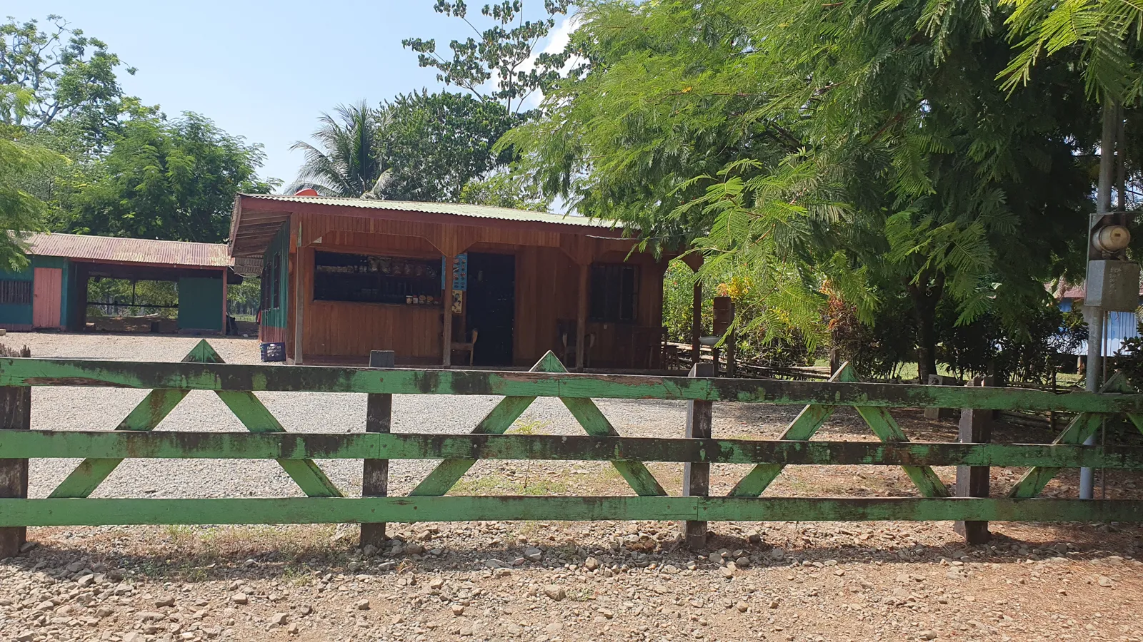 CONSERVATION AND DEVELOPMENT LAND WITH OCEAN VIEW IN SIERPE, COSTA RICA - image 6
