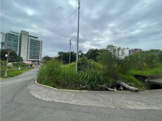 Lote Comercial Tournon Frente Ruta 32 - image 5