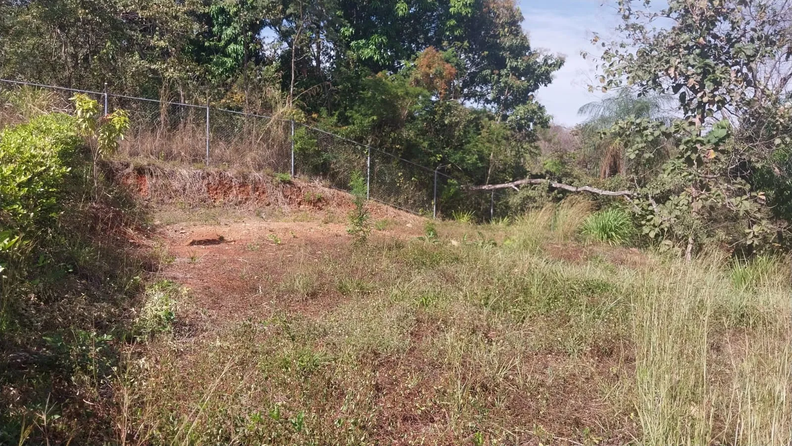 Prime Lot for Sale: 30 Minutes from the Beach – Peaceful and Growing Rural Area - image 12