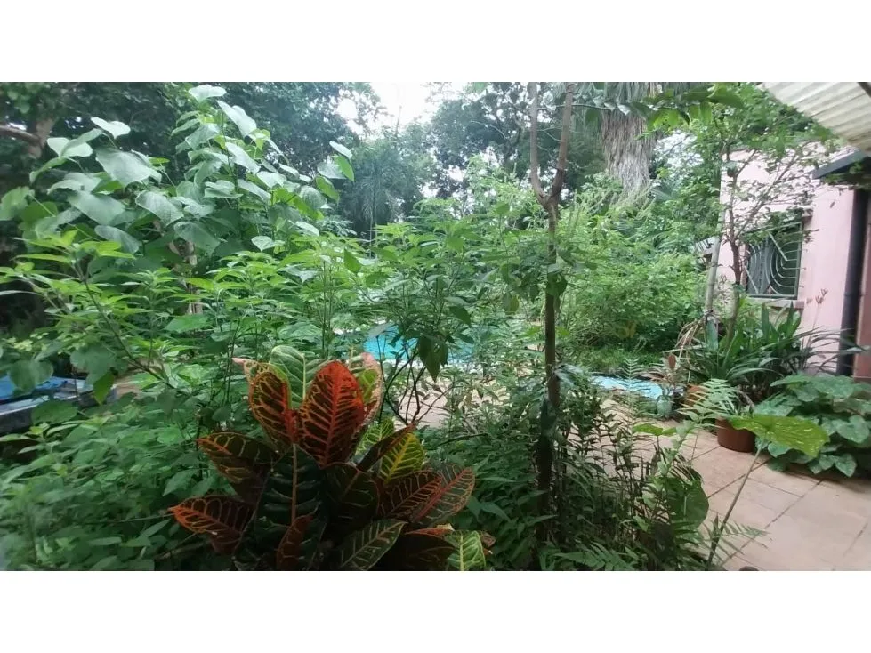 Beautiful House Surrounded By Nature. - image 5