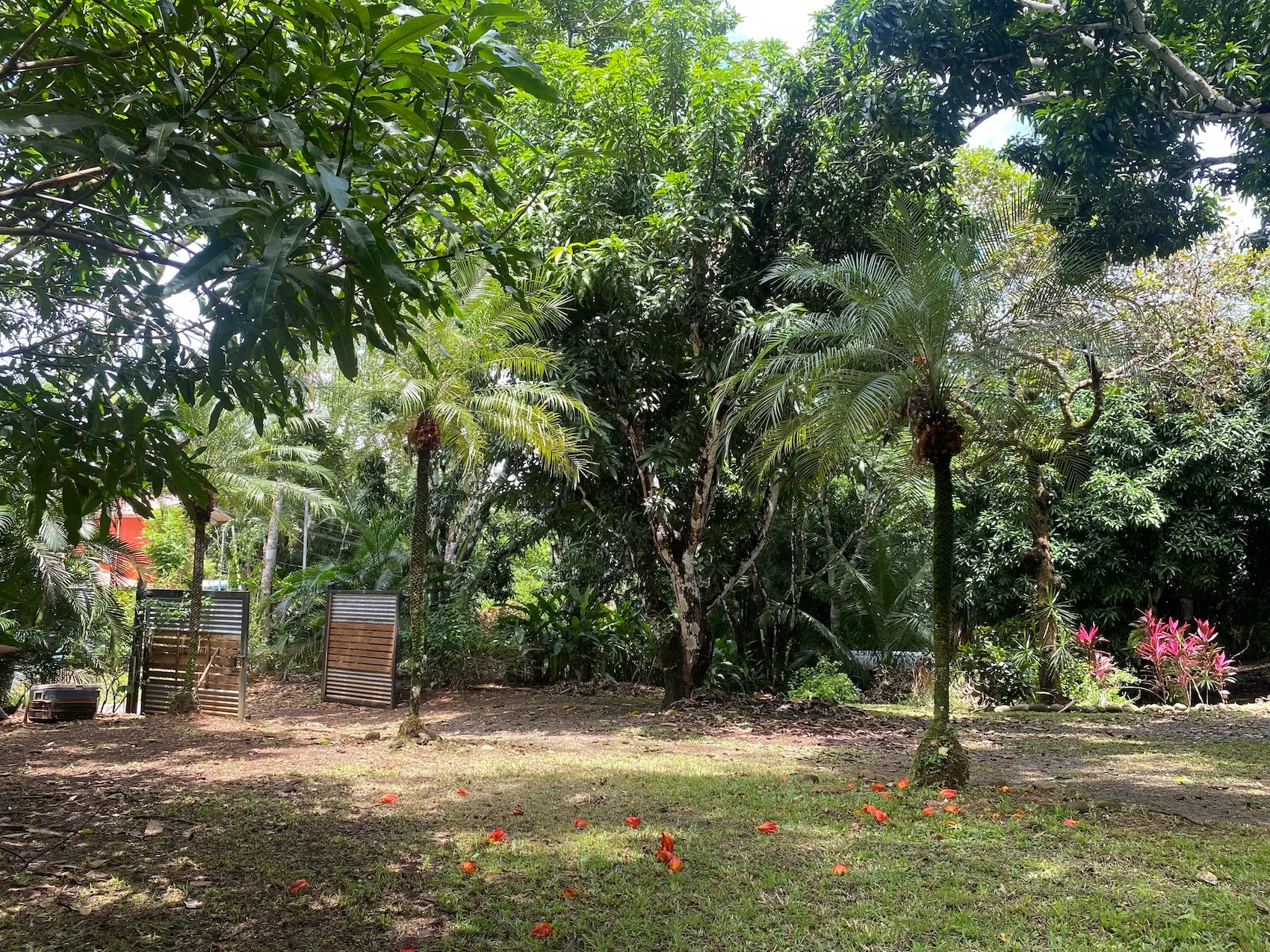 Amazing Ocean View Property with Exceptional Development Potential & Boho Home, Rustic Cabin and Pool in Delicias Near Montezuma - image 15