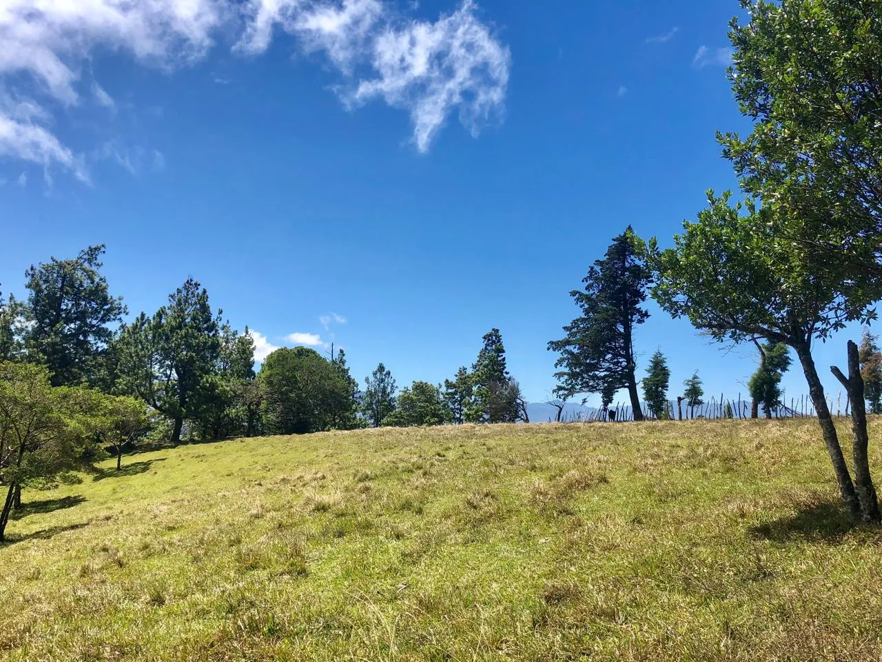Sale / Beautiful Land (With Permission for Commercial Use) San Isidro, Heredia - image 7