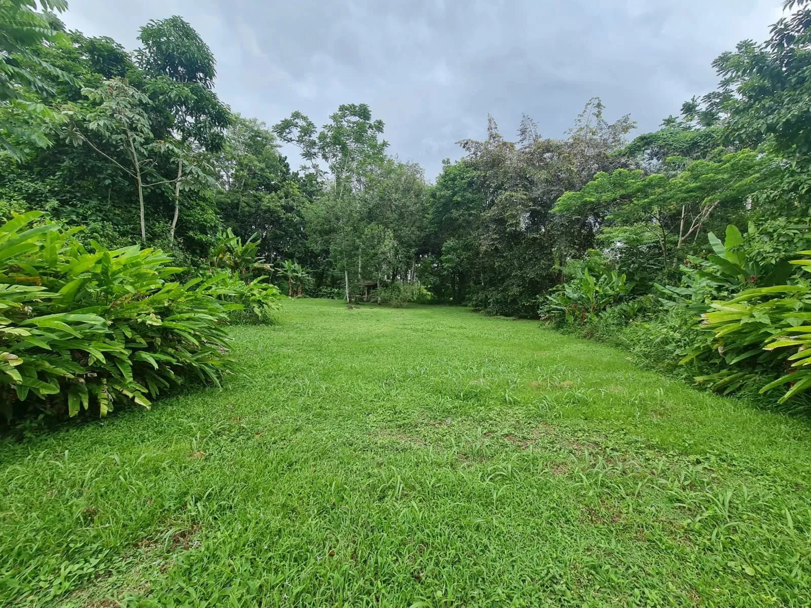 Farm for sale in San Ramon - image 2