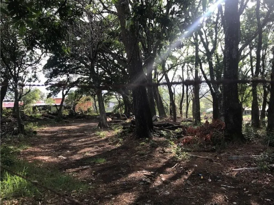LOTE DE TERRENO, TERRENO SAN ANA SALITRAL - image 4