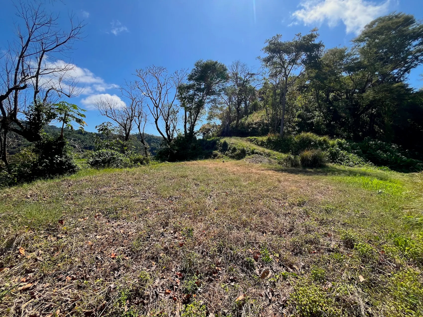 Ocean View Lot 10000m2 in Mal País – 2 Ready-to-Build Platforms - image 6
