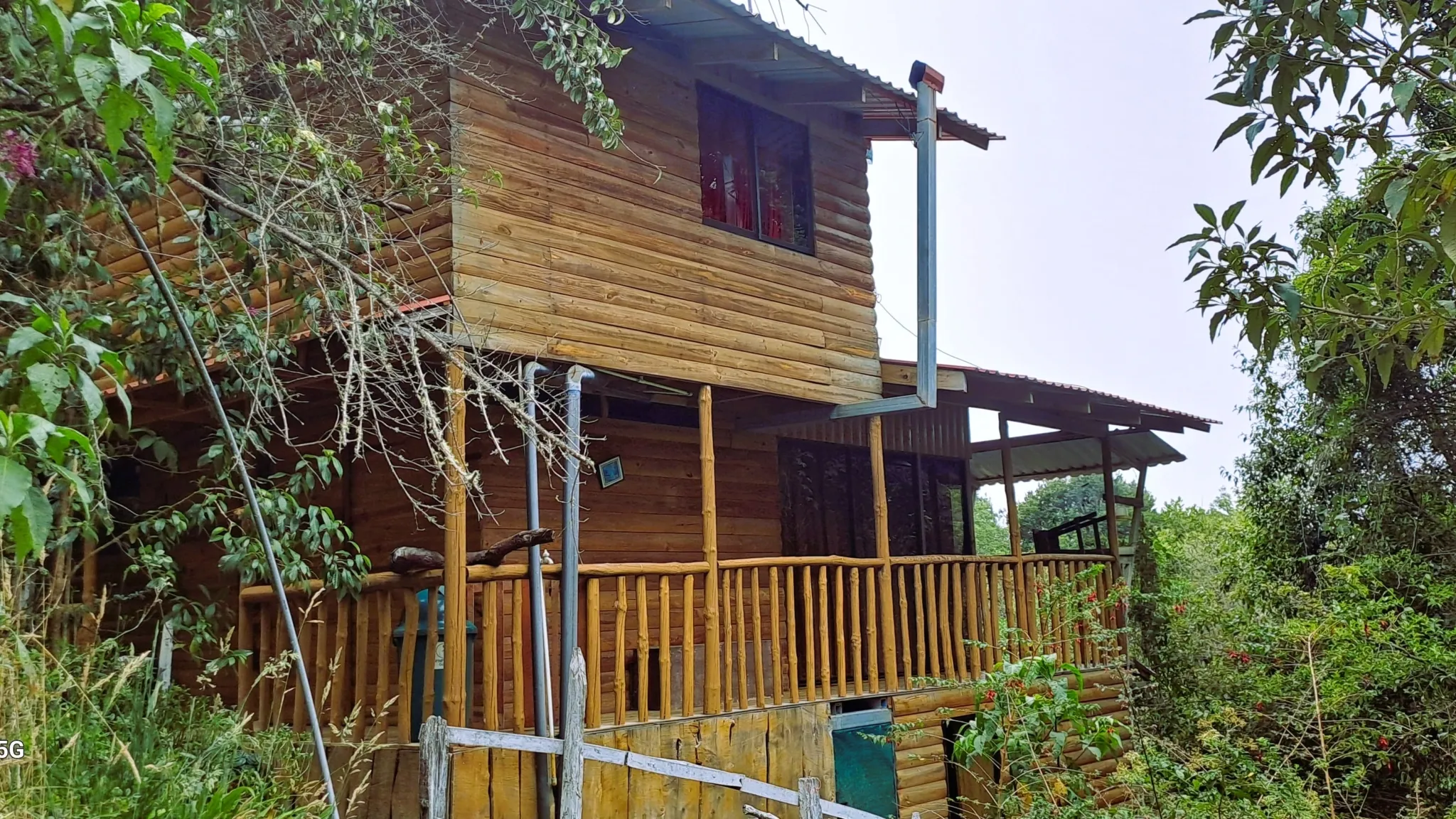 COZY MOUNTAIN RETREAT COTTAGE - image 4