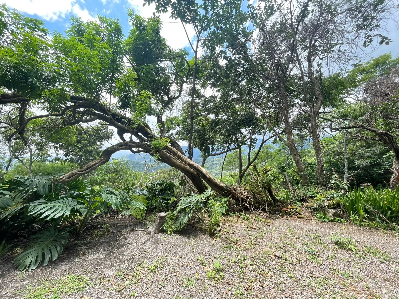 Lots for sale in Santa Ana Mountains - image 11