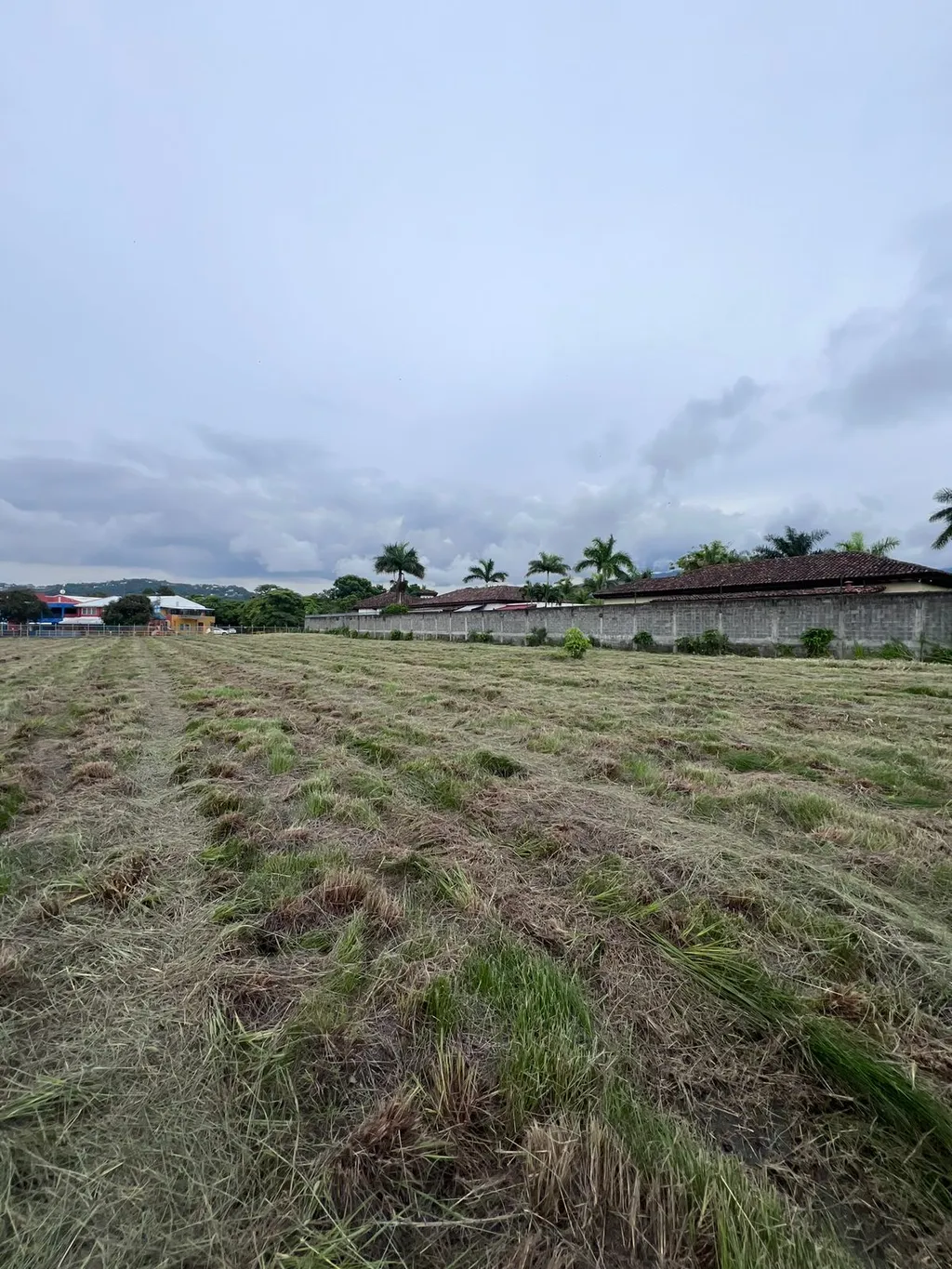  Lot in Lindora, Santa Ana - image 2