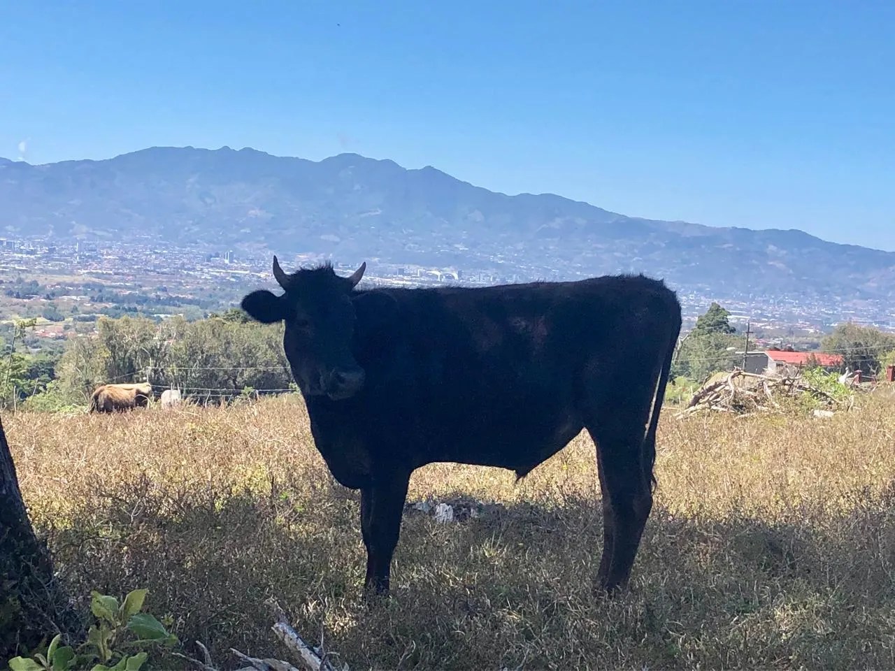 Sale / Beautiful Land (With Permission for Commercial Use) San Isidro, Heredia - image 11