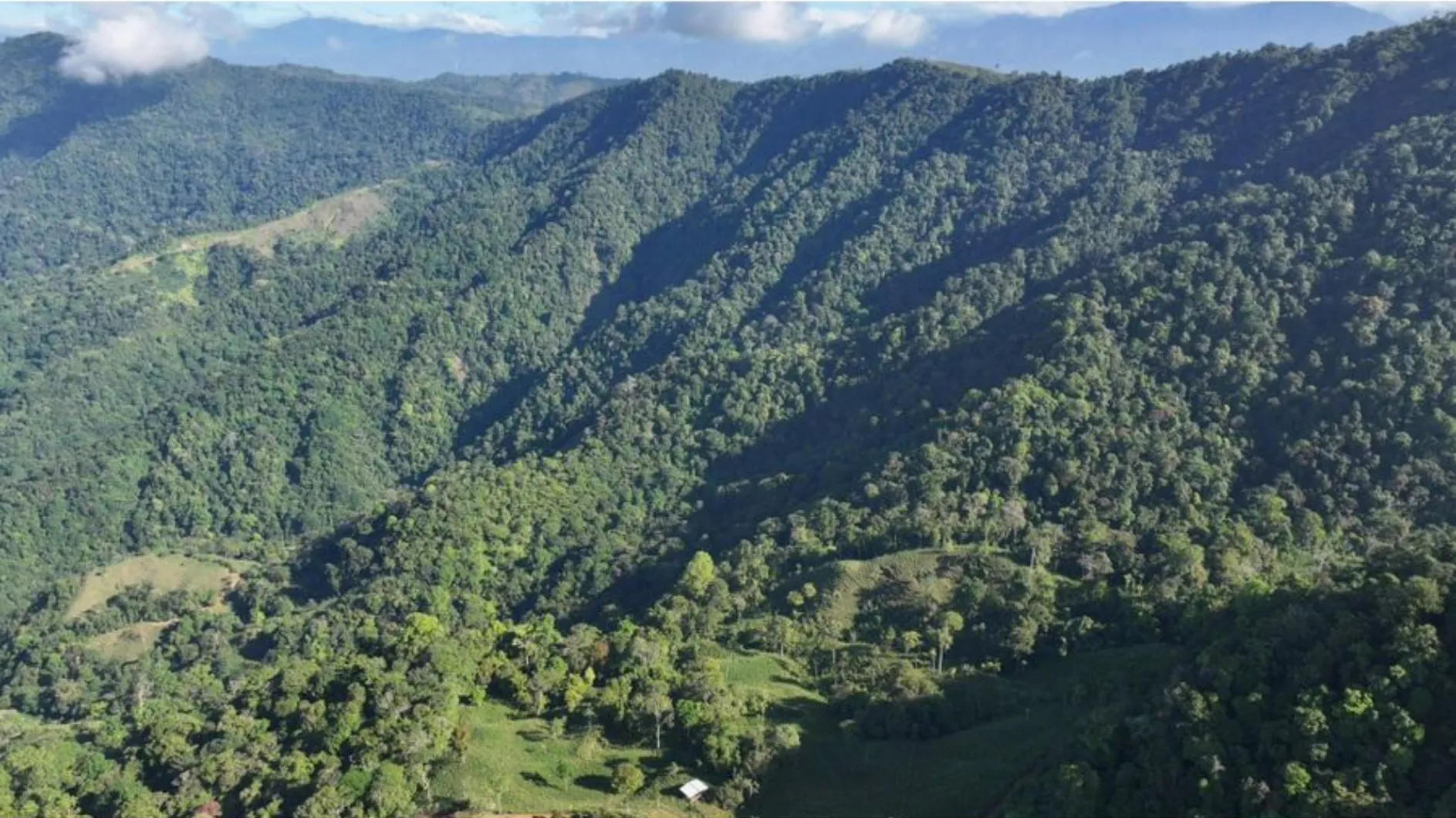 PARADISIACAL 335 ACRES PROPERTY WITH OCEAN VIEW TO UVITA, PUNTARENAS - image 10