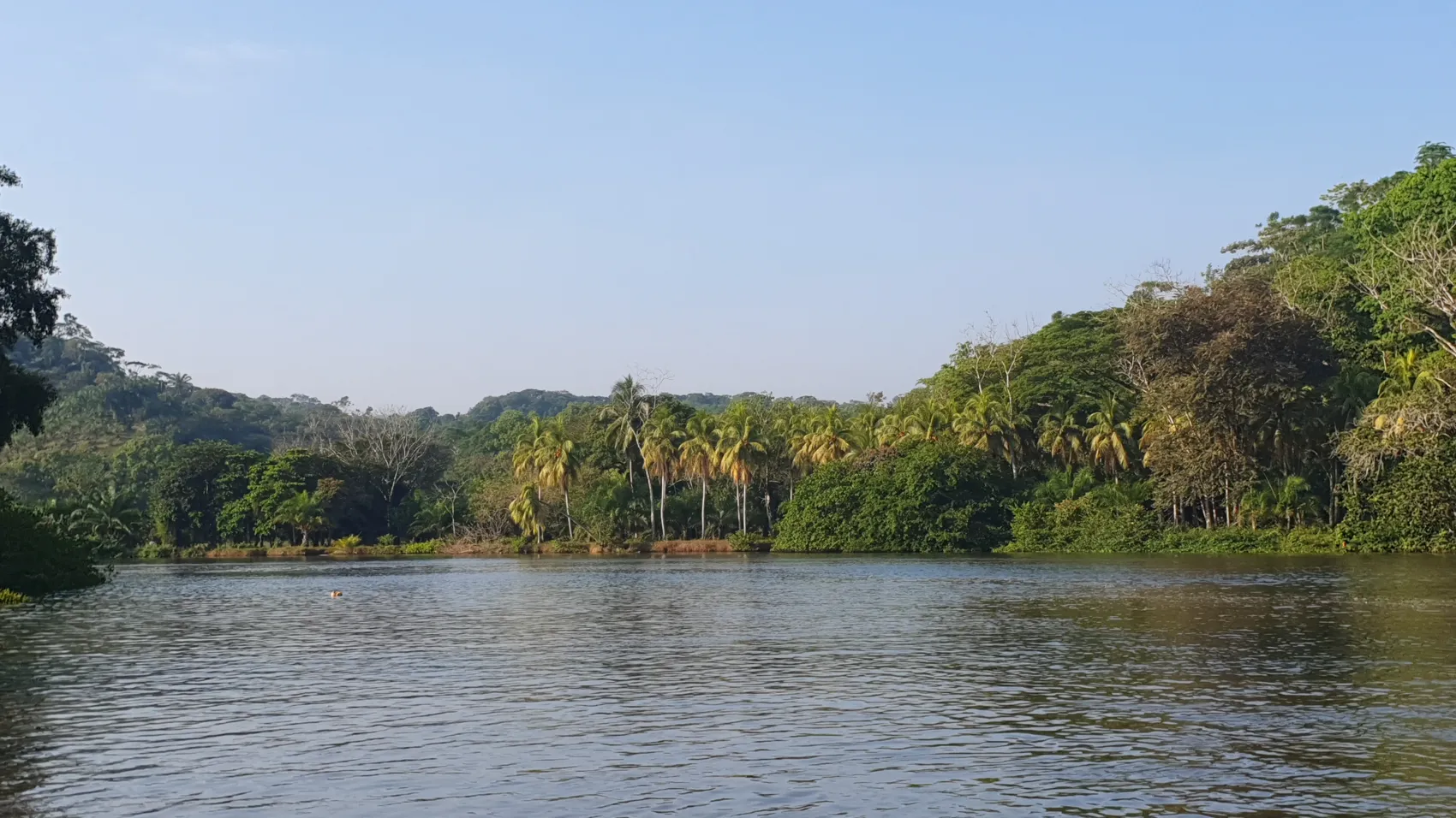 CONSERVATION AND DEVELOPMENT LAND WITH OCEAN VIEW IN SIERPE, COSTA RICA - image 5