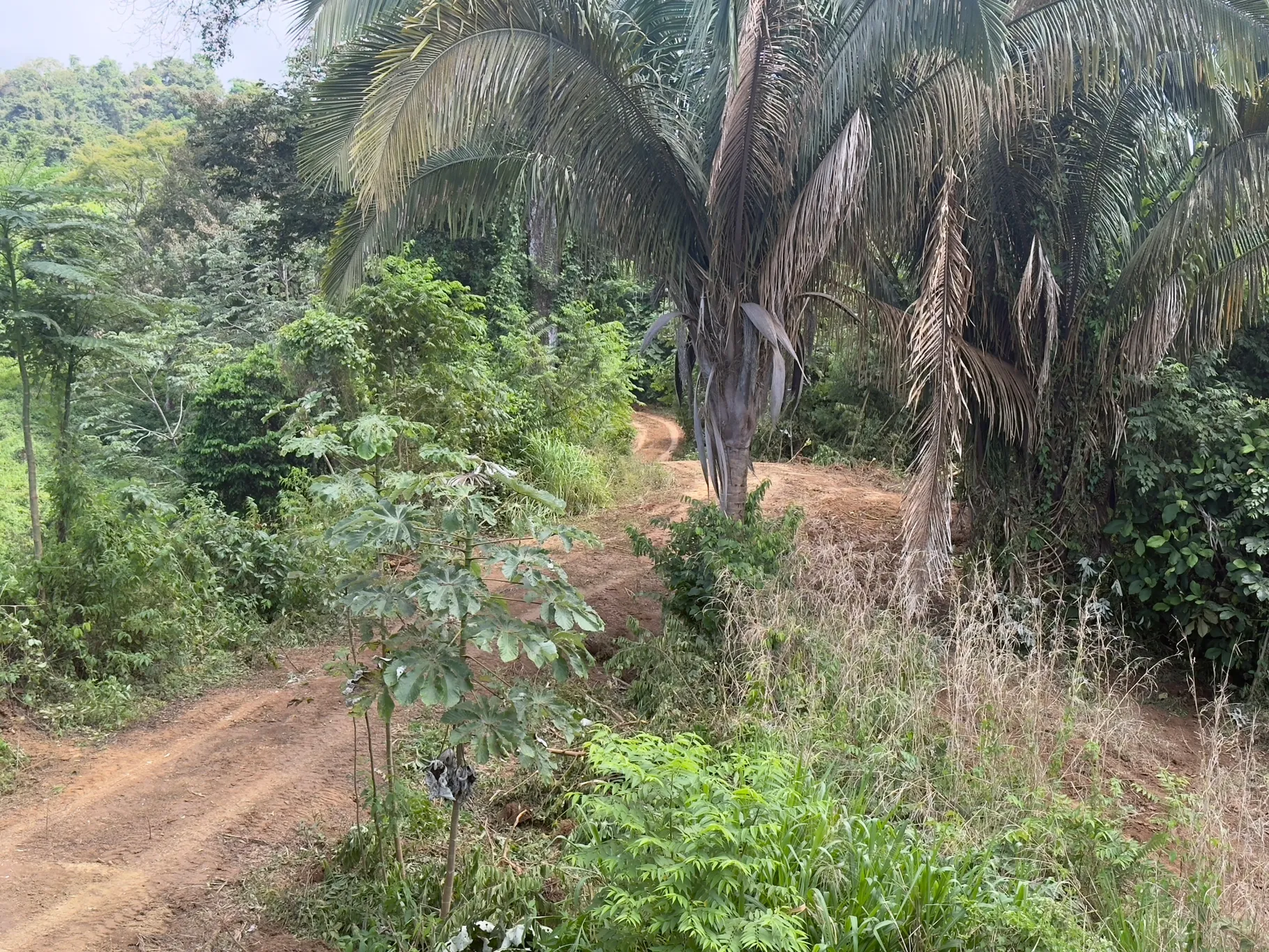 🌄 Prime Development Opportunity in Herradura – 206,657 m² with Ocean & Mountain Views 🌊🌿 - image 15