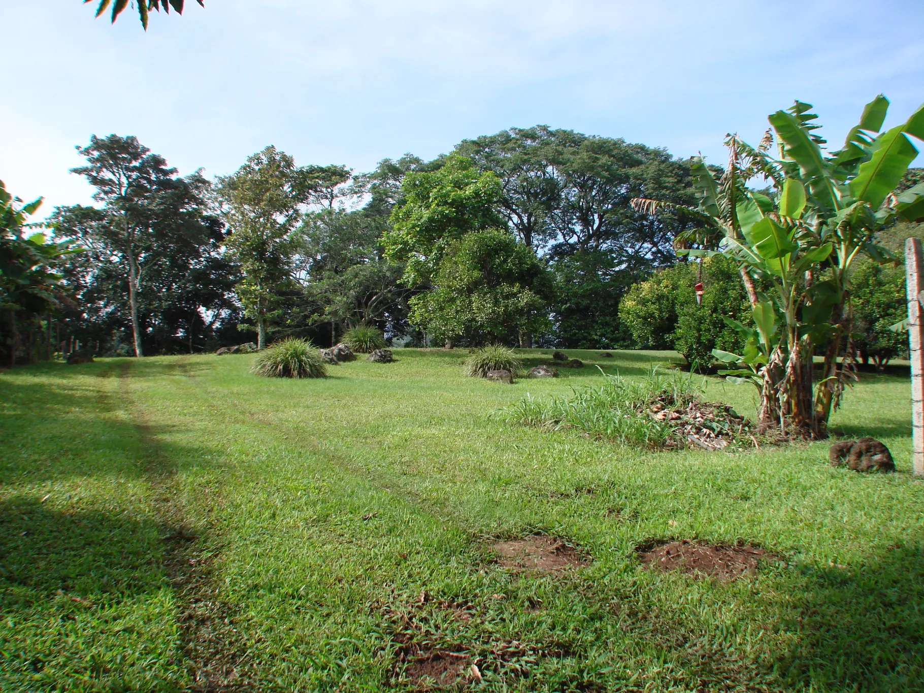 Home construction site property in Cuidad Colón - Lot for sale - image 5
