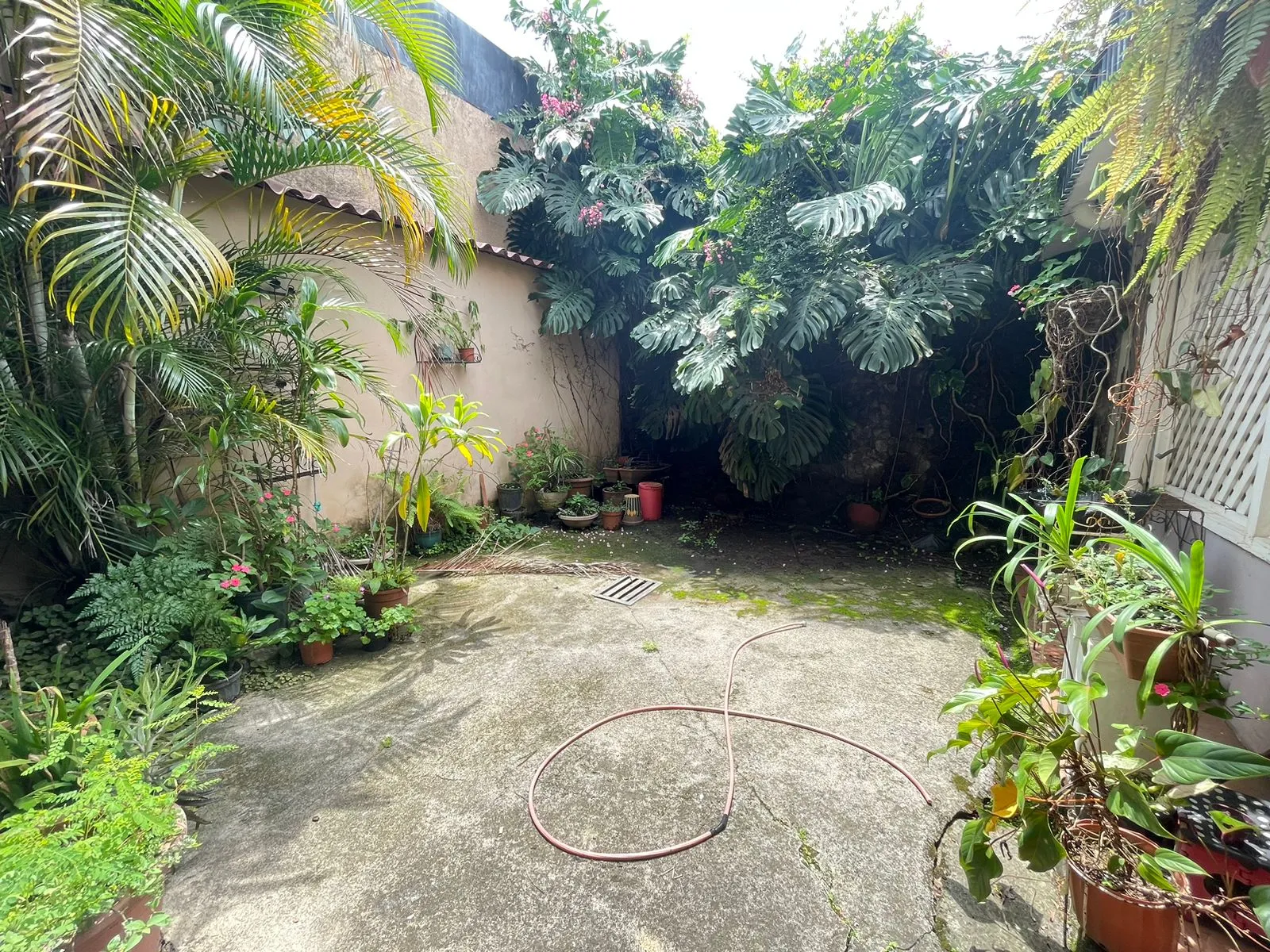 House for Sale in Downtown Alajuela - image 11