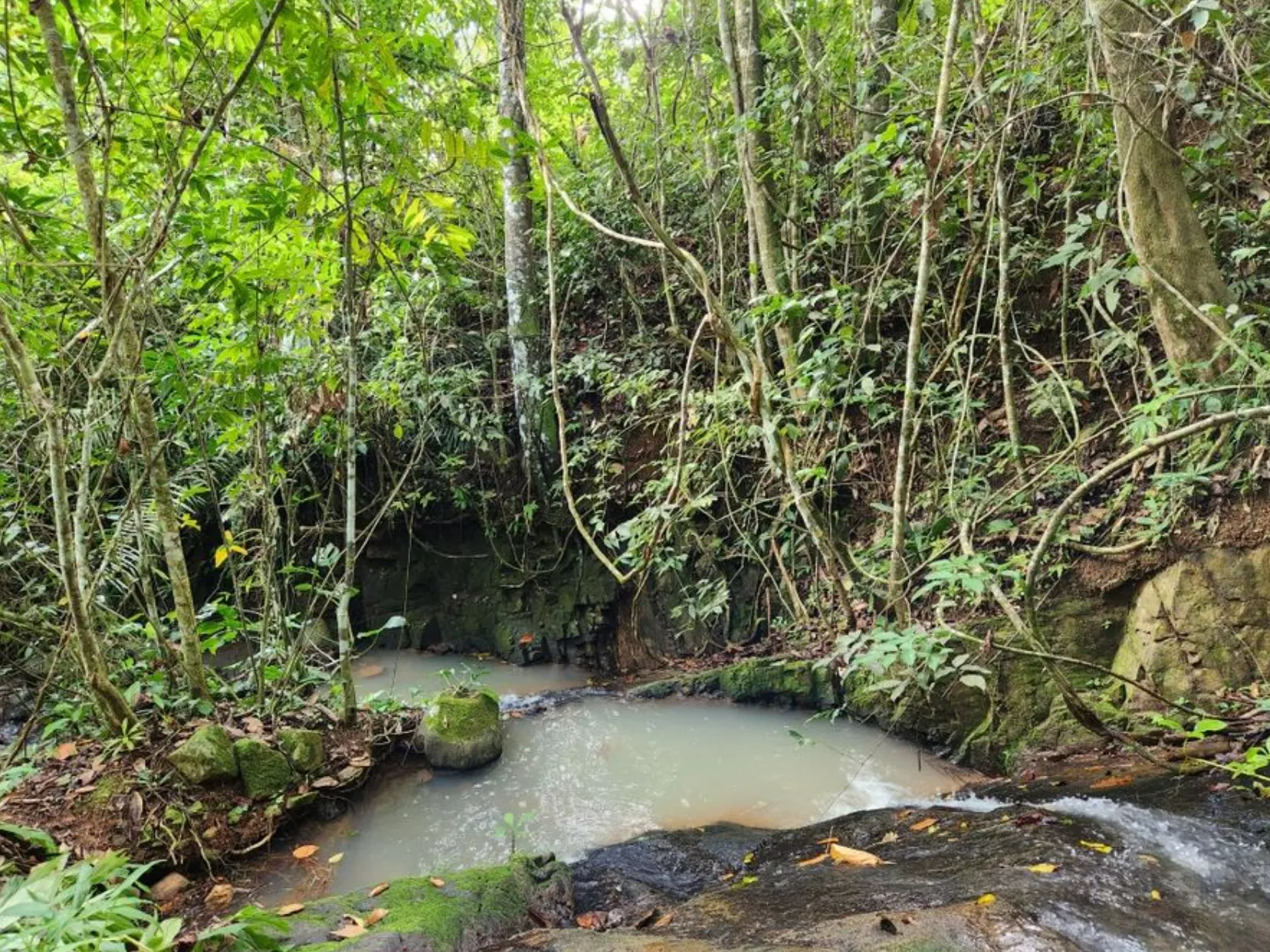 MOUNTAIN VIEW FARM & HOUSE IN PACUARITO, PEREZ ZELEDON - image 15