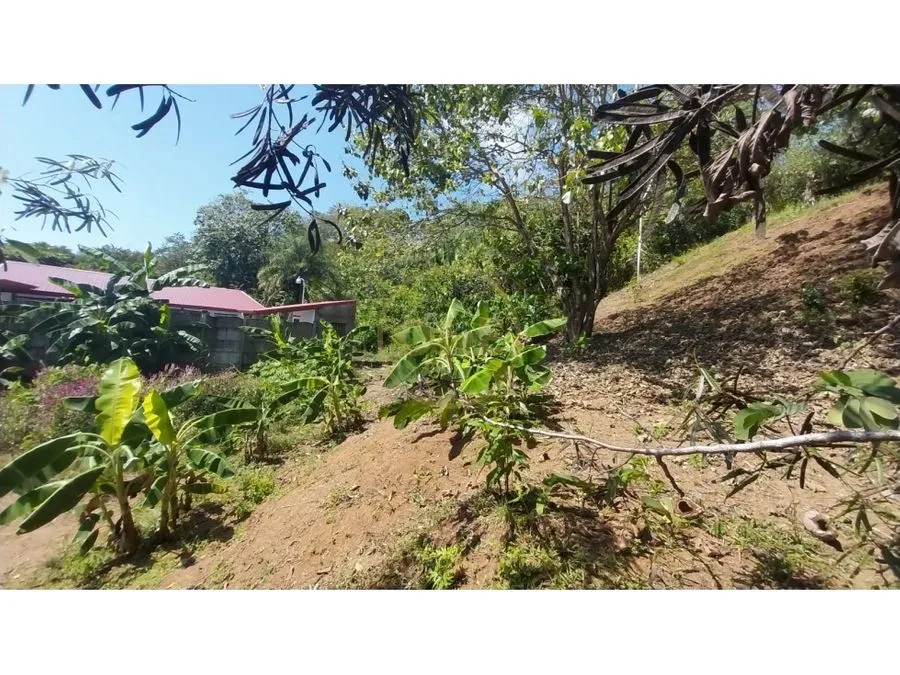 Lot On Calle Hermosa With All Services Ready To Build - image 12