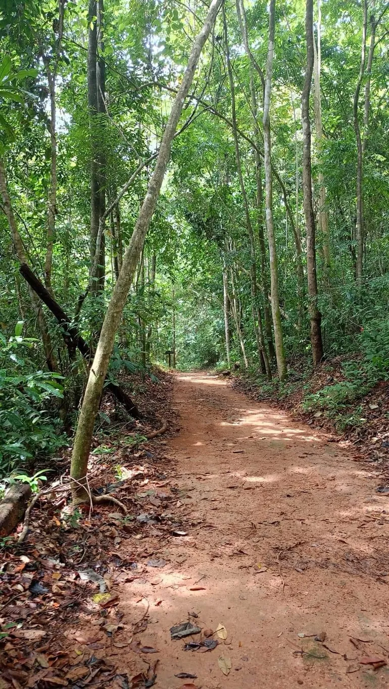  Incredible Ecological Property with 4 Spectacular Waterfalls - image 15