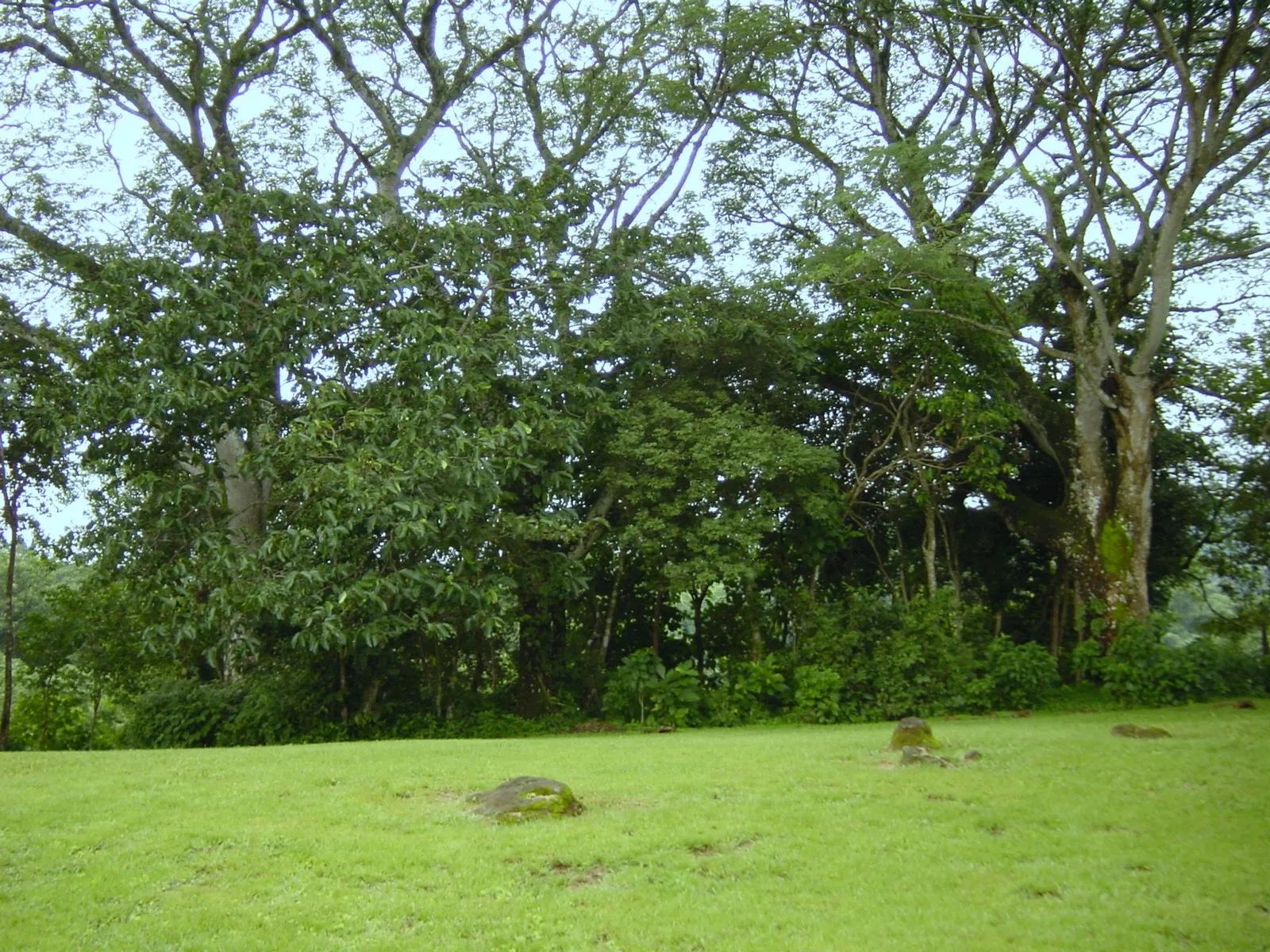 Home construction site property in Cuidad Colón - Lot for sale - image 13