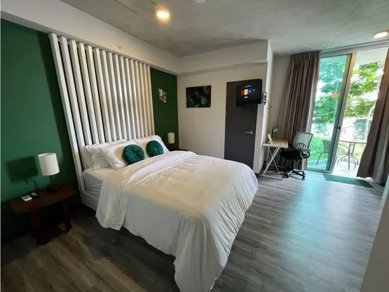 Rent / Amazing Apartament in SECRT Condominium, Sabana Sur, San Jose  - image 13