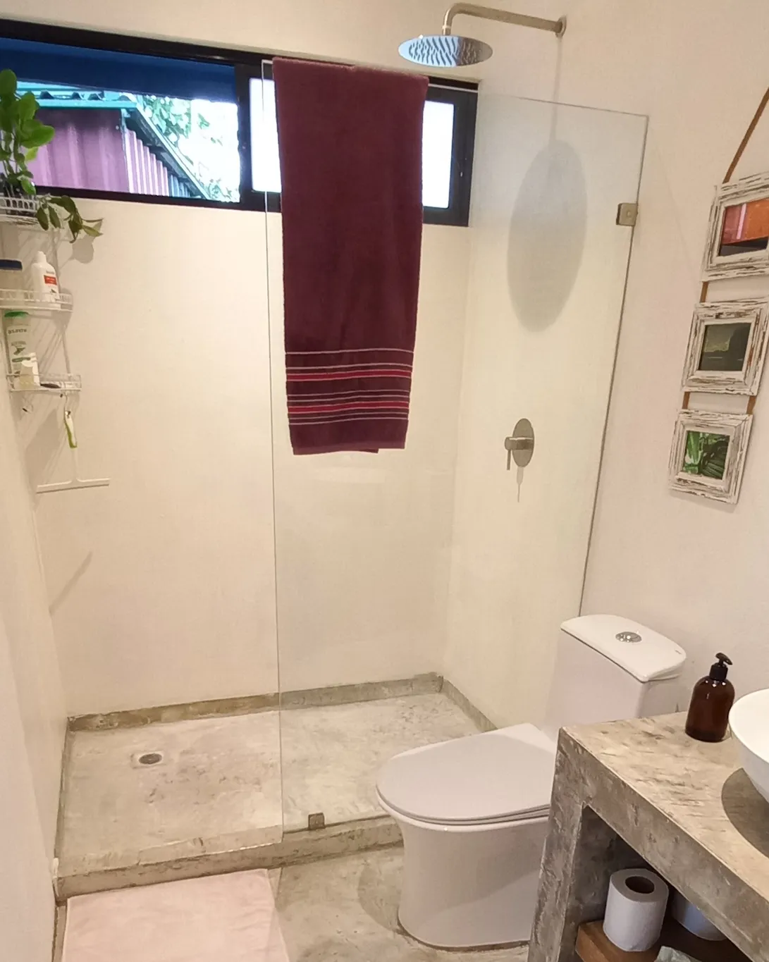 1 bedroom Home & Development Opportunity 6 min to Santa Teresa - image 11